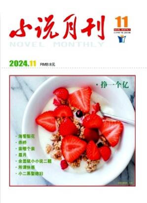《小说月刊》2024年11期