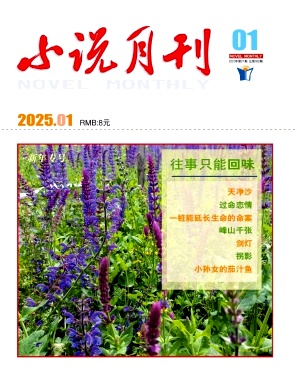 《小说月刊》2025年01期目录