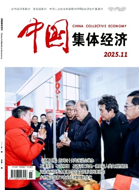 《中国集体经济》2025年11期目录