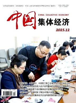 《中国集体经济》2025年12期目录