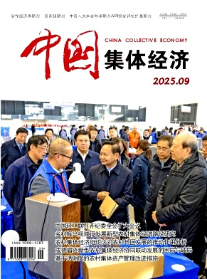 《中国集体经济》2025年09期目录