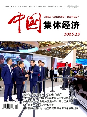 《中国集体经济》2025年13期目录