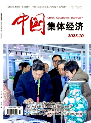 《中国集体经济》2025年10期目录