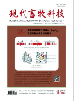 《现代畜牧科技》2024年12期目录