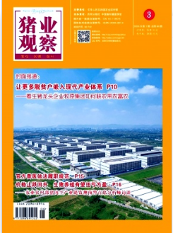 《猪业观察》2024年03期目录