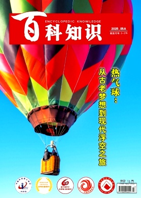 《百科知识》2025年13期目录