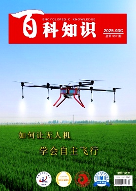 《百科知识》2025年09期目录