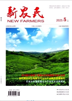 《新农民》2025年13期目录