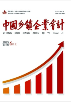  《中国乡镇企业会计》2025年11期目录