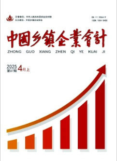 《中国乡镇企业会计》2025年07期目录