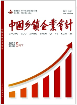《中国乡镇企业会计》2025年10期目录