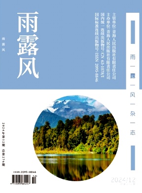 《雨露风》2024年12期目录