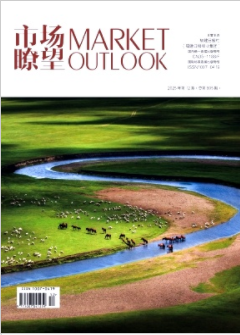 《市场瞭望》2025年12期目录