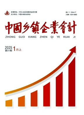 《中国乡镇企业会计》2025年01期目录