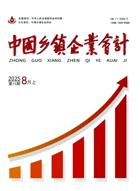 《中国乡镇企业会计》2025年15期目录
