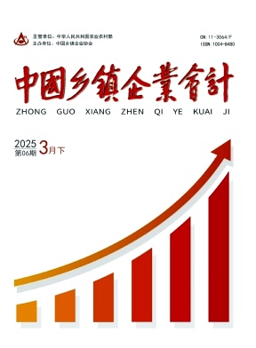 《中国乡镇企业会计》2025年13期目录