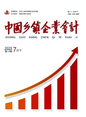 《中国乡镇企业会计》2025年14期目录