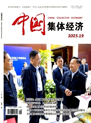 《中国集体经济》2025年19期目录