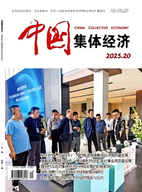 《中国集体经济》2025年20期目录