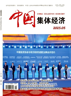 《中国集体经济》2025年05期目录