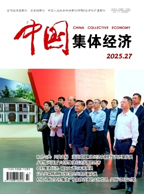 《中国集体经济》2025年27期目录