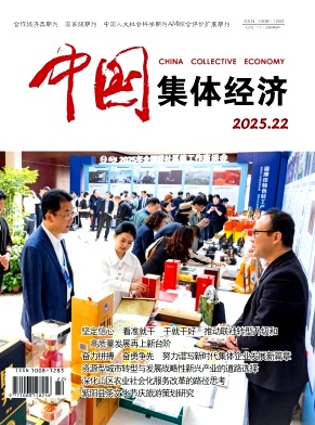 《中国集体经济》2025年22期目录