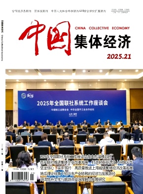 《中国集体经济》2025年21期目录