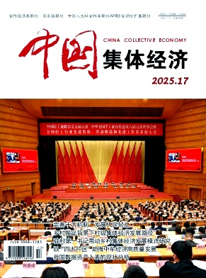 《中国集体经济》2025年17期目录