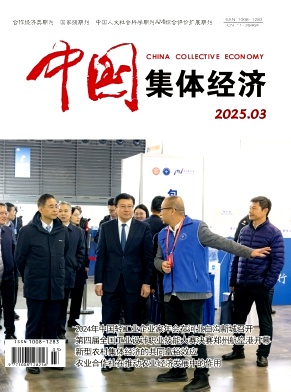 《中国集体经济》2025年03期目录