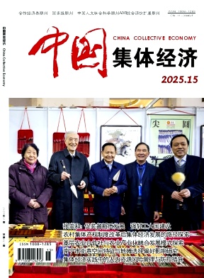 《中国集体经济》2025年15期目录
