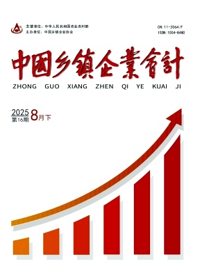 《中国乡镇企业会计》2025年16期目录