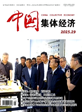 《中国集体经济》2025年29期目录