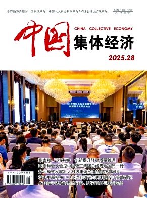 《中国集体经济》2025年28期目录