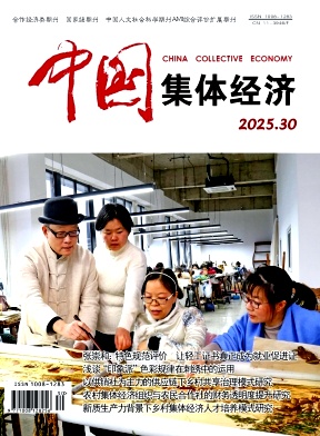 《中国集体经济》2025年30期目录