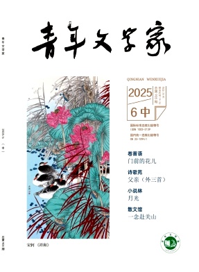 《青年文学家》2025年17期