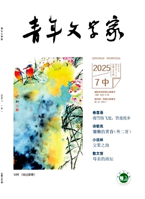 《青年文学家》2025年20期