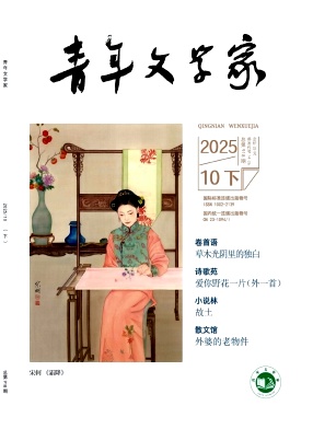 《青年文学家》2025年30期