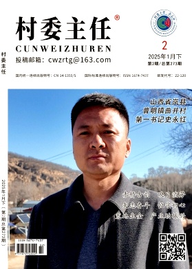 《村委主任》2025年02期