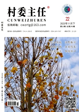 《村委主任》2025年22期