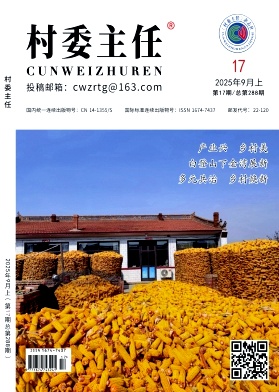 《村委主任》2025年17期