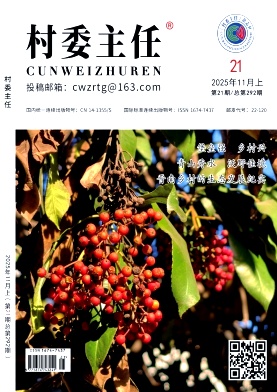 《村委主任》2025年21期