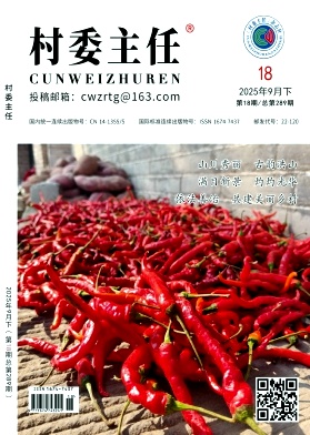 《村委主任》2025年18期