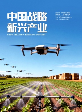 《中国战略新兴产业》2025年30期