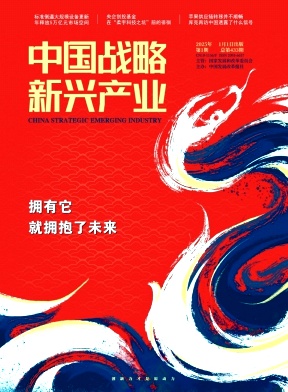 《中国战略新兴产业》2025年01期