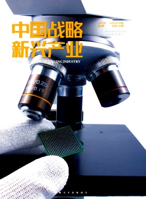 《中国战略新兴产业》2025年06期