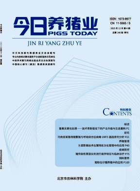 今日养猪业