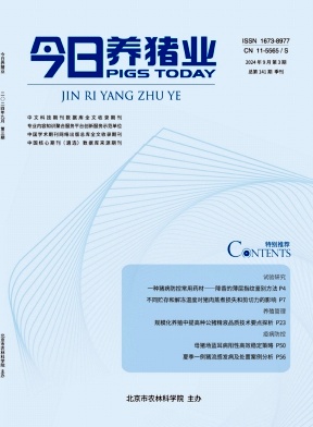 《今日养猪业》2024年03期