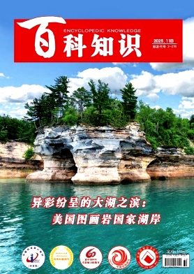 《百科知识》2025年32期