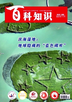 《百科知识》2025年17期