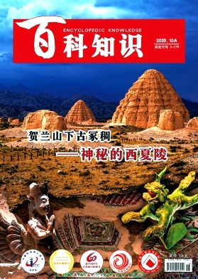 《百科知识》2025年28期